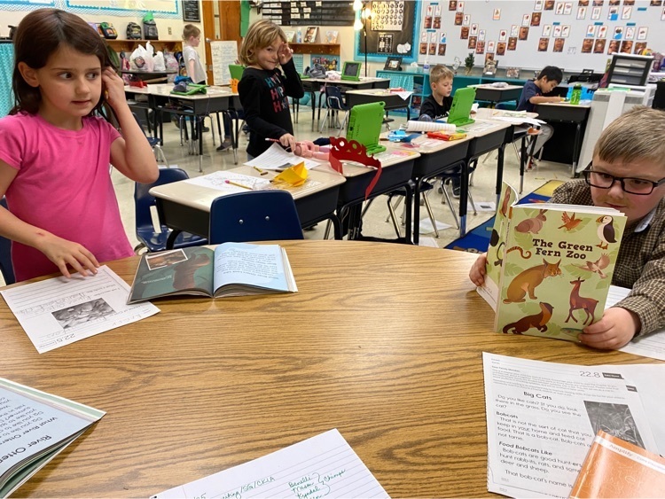 Ms. Ashley’s class is writing about animals we read about in our reader, “The Green Fern Zoo.” This group is hard at work writing about river otters. 